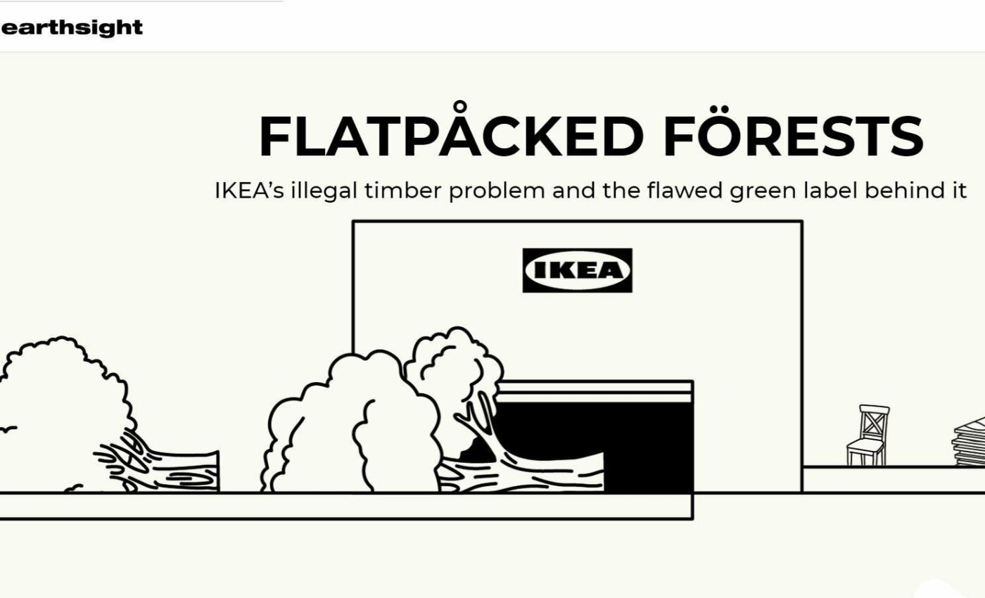 Про закарпатську деревину для стільців IKEA: британський ре..., фото-1 Про закарпатську деревину для стільців IKEA: британський резонанс, легальність і лісорубний квиток, фото-1