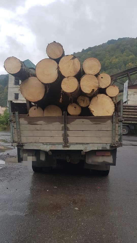 4 випадки за один день: на Закарпатті поліція активно борет..., фото-6 4 випадки за один день: на Закарпатті поліція активно бореться з чорними лісорубами (ФОТО), фото-6
