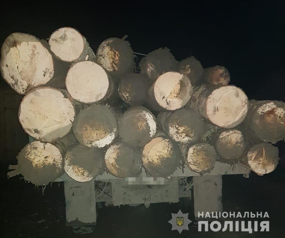 На Закарпатті працівники поліції затримали вантажівку з нел..., фото-1 На Закарпатті працівники поліції затримали вантажівку з нелегальною деревиною (ФОТО), фото-1