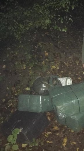 На Закарпатті прикордонники пострілами зупиняли цигаркових..., фото-3 На Закарпатті прикордонники пострілами зупиняли цигаркових контрабандистів (ФОТО), фото-3