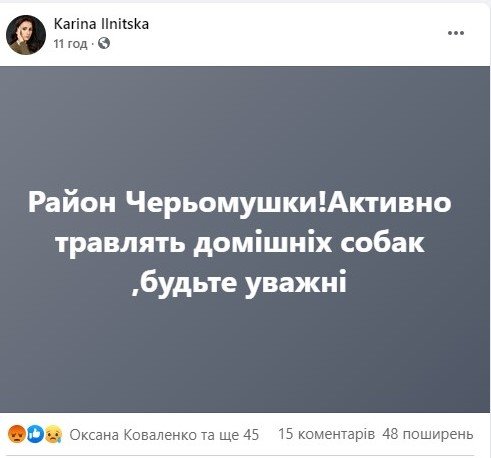 Facebook / Karina Ilnitska Facebook / Karina Ilnitska