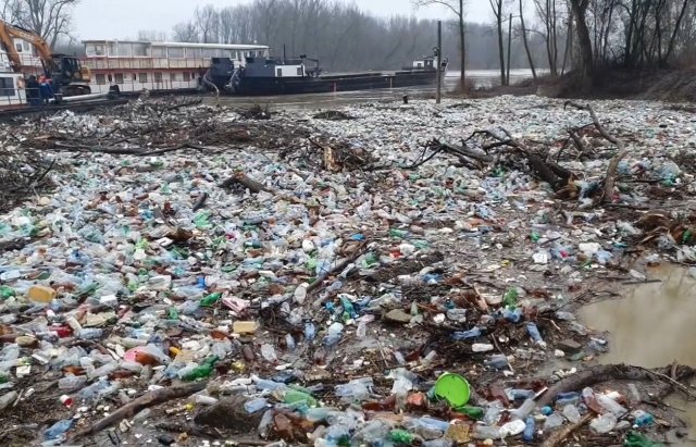 Масштаби вражають: із Закарпаття до Угорщини припливли цілі острови зі сміття