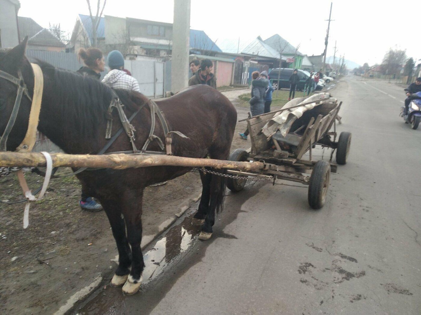 Управління поліції охорони в Закарпатській області