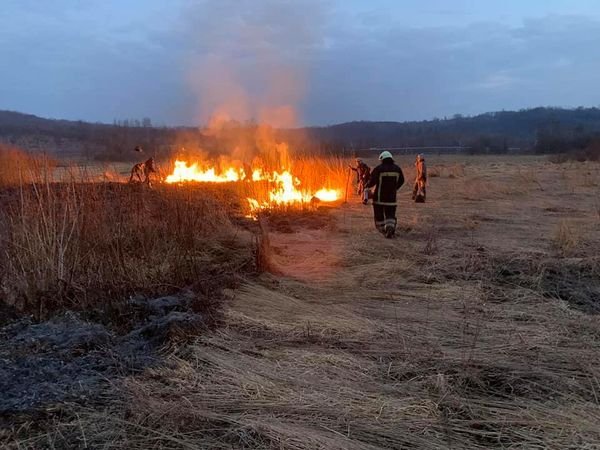 У відомому заповіднику 