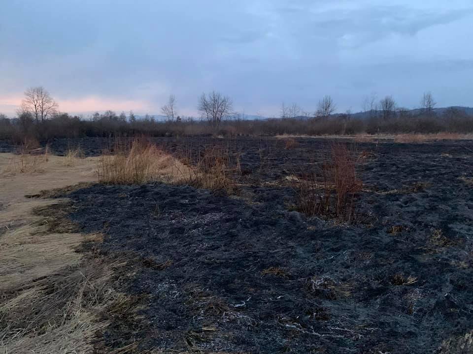 У відомому заповіднику "Долина нарцисів" на Закарпатті сталася пожежа (ФОТО), фото-3