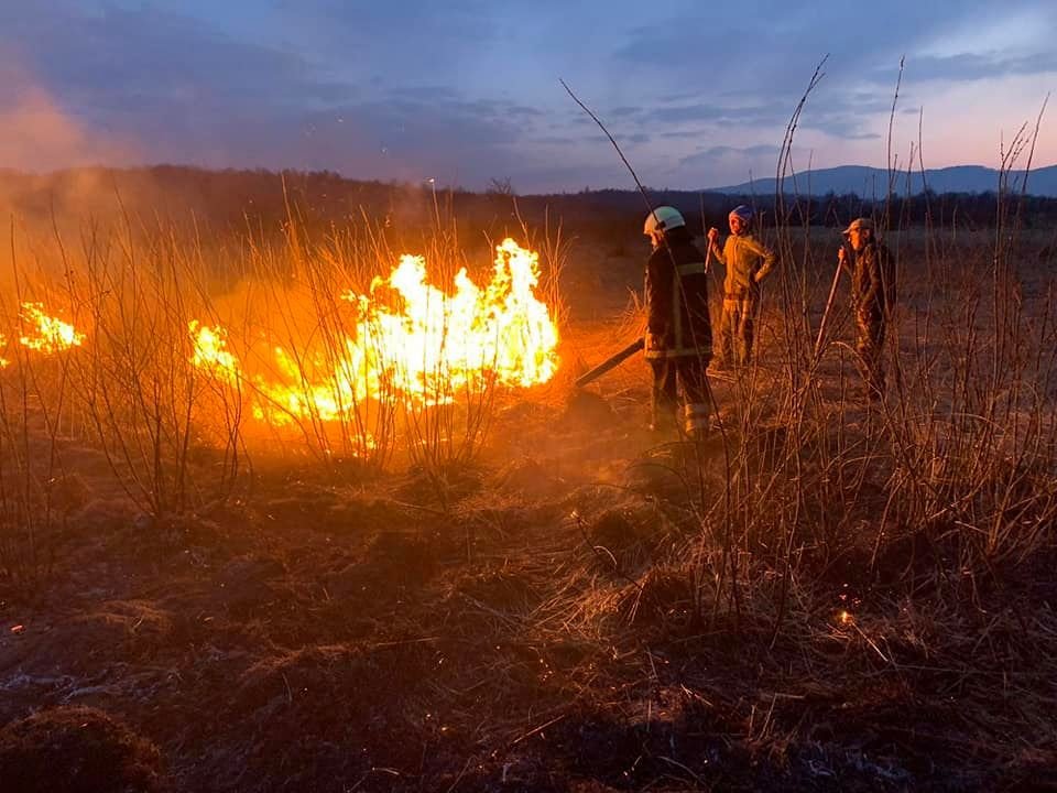 У відомому заповіднику "Долина нарцисів" на Закарпатті сталася пожежа (ФОТО), фото-4