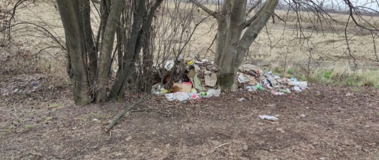 Муніципали Мукачева оштрафувала чоловіка за викид сміття н..., фото-1 Муніципали Мукачева оштрафувала чоловіка за викид сміття на зеленій зоні (ФОТОФАКТ), фото-1
