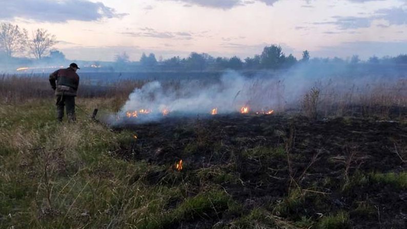 На Закарпатті розшукували паліїв трави