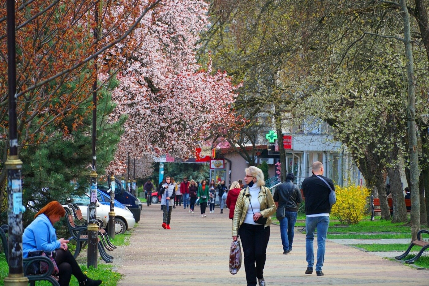 Фото дня: неймовірні світлини Ужгорода у весняній красі, фото-10 Фото дня: неймовірні світлини Ужгорода у весняній красі, фото-10