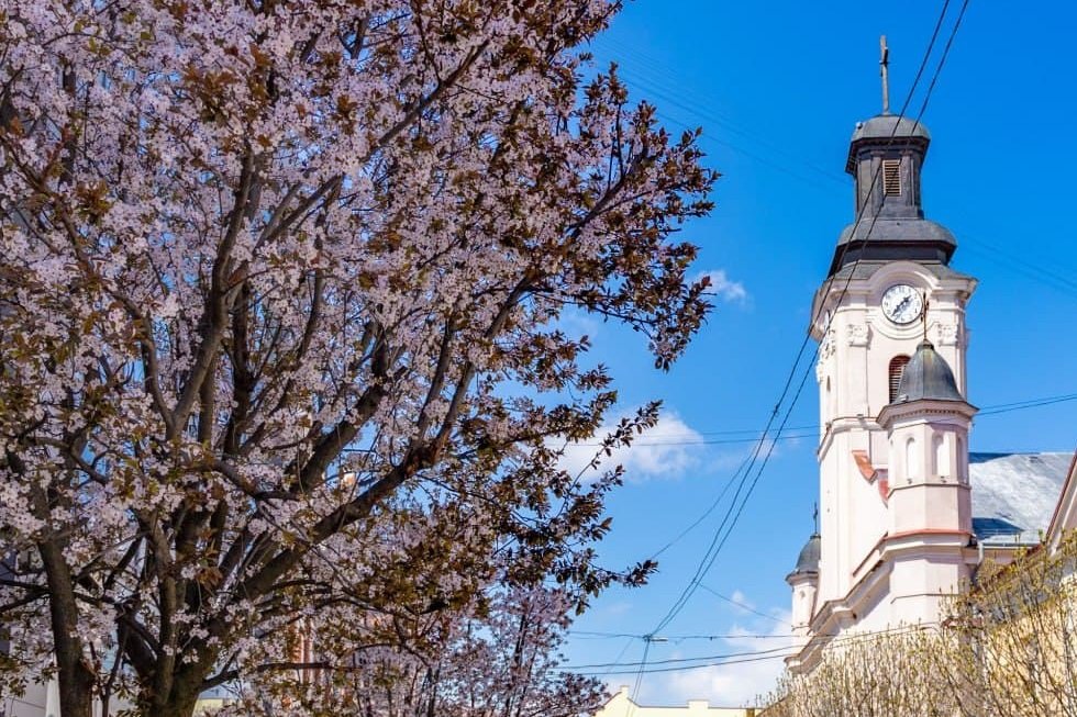 Фото дня: неймовірні світлини Ужгорода у весняній красі, фото-1 Фото дня: неймовірні світлини Ужгорода у весняній красі, фото-1