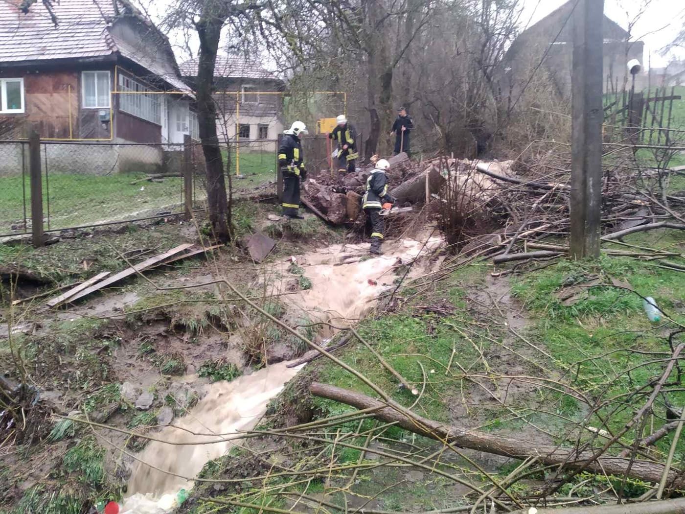 Через проливні дощі на Закарпатті підтопило кілька дворогосподарств