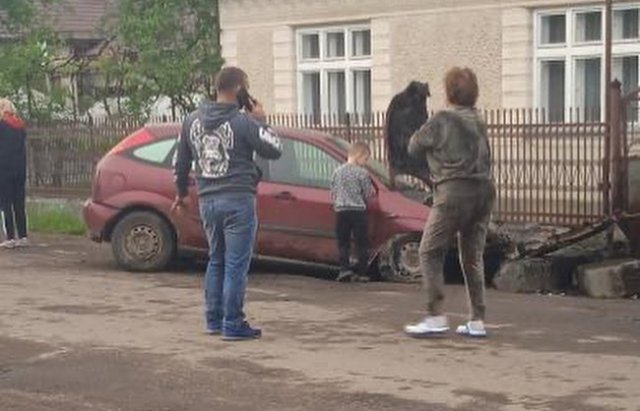 ДТП на Закарпатті: автівка влетіла в огорожу