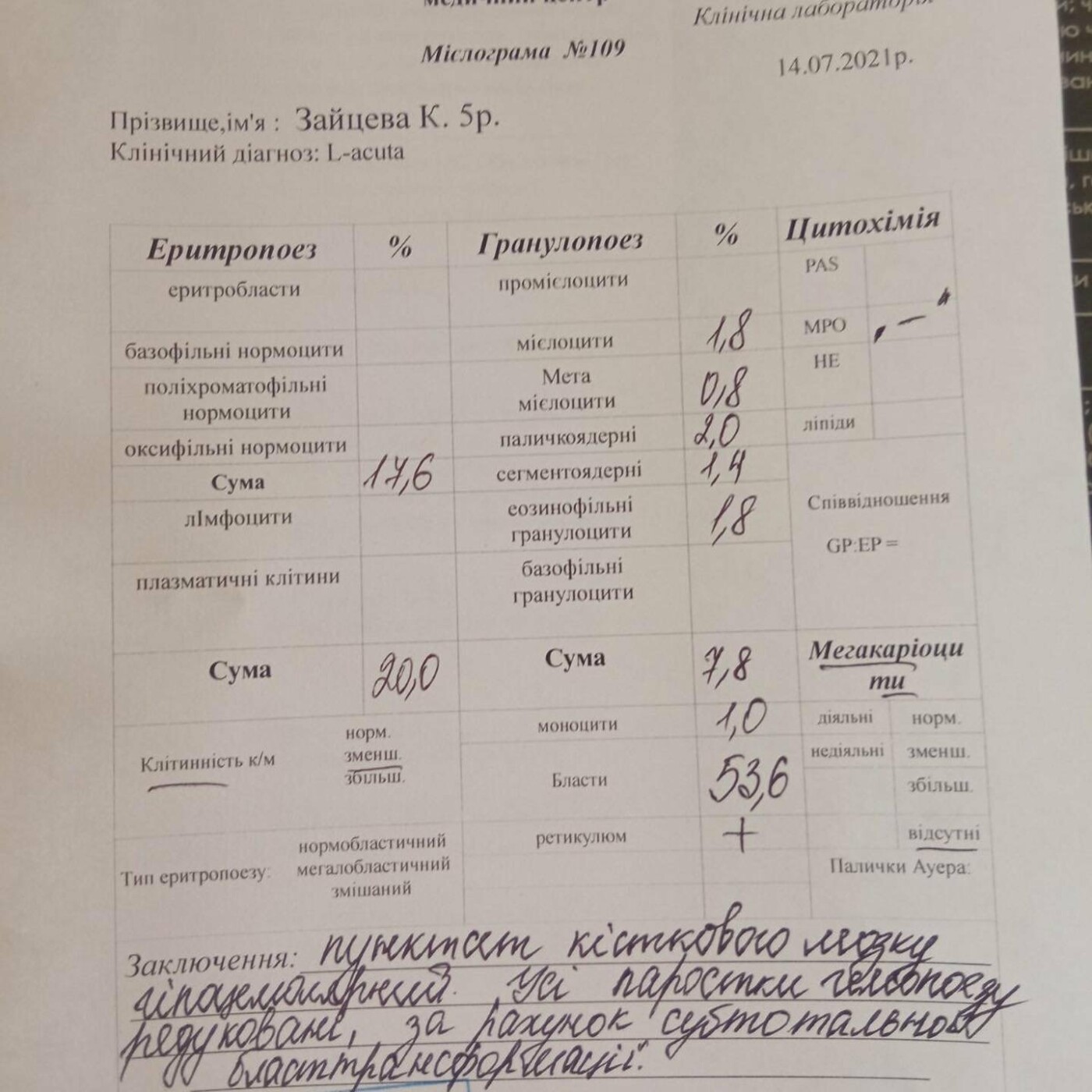 Дівчинці з Ужгорода діагностували гострий лейкоз: родина прохає про підтримку, фото-2