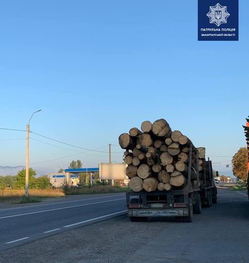 Закарпатські патрульні затримали водія, який без документів перевозив деревину (ФОТО)