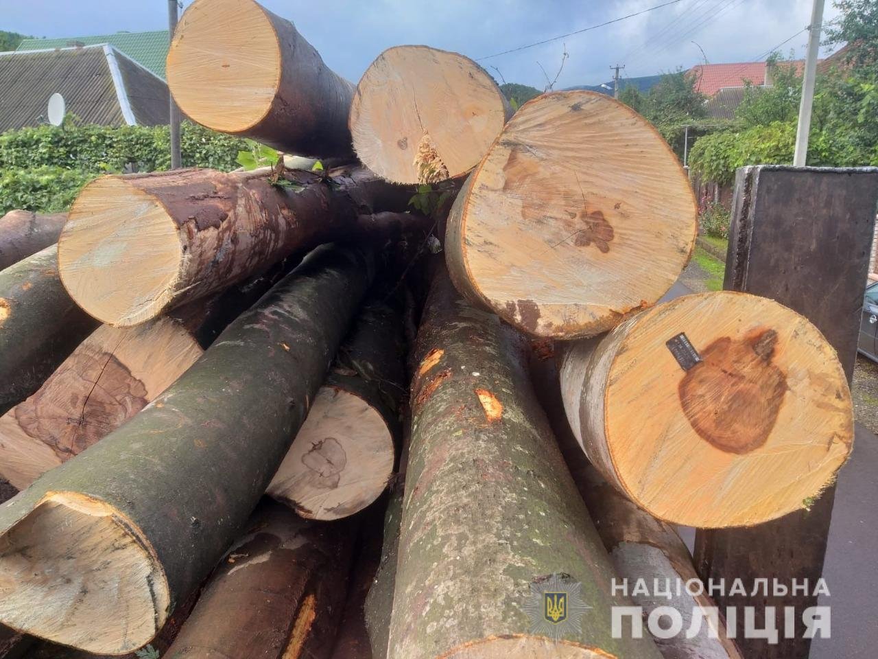 На Закарпатті вилучили нелегальної деревини на понад 100 тисяч гривень(ФОТО, ВІДЕО)
