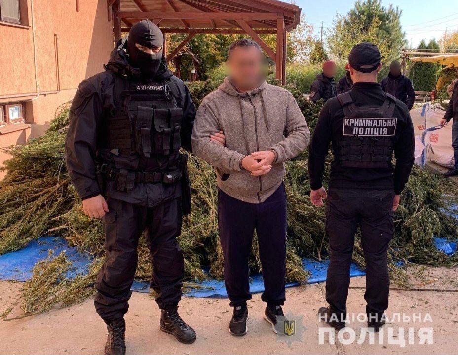 Майже 300 кг коноплі вилучили у наркоторговця на Закарпатті
