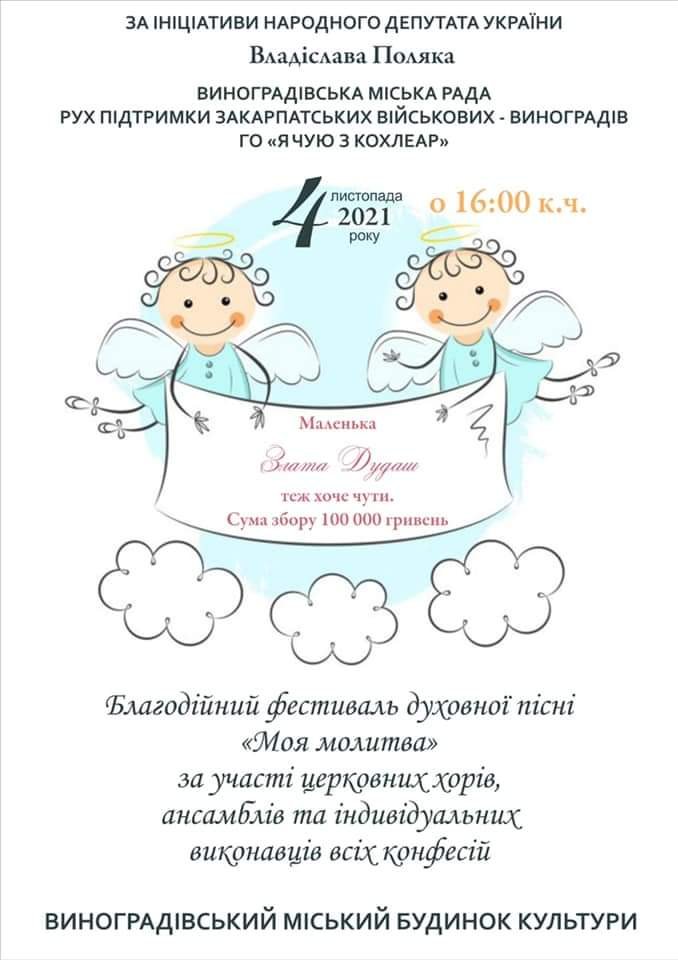 За сприяння нардепа Владіслава Поляка у Виноградові відбудеться благодійний фестиваль