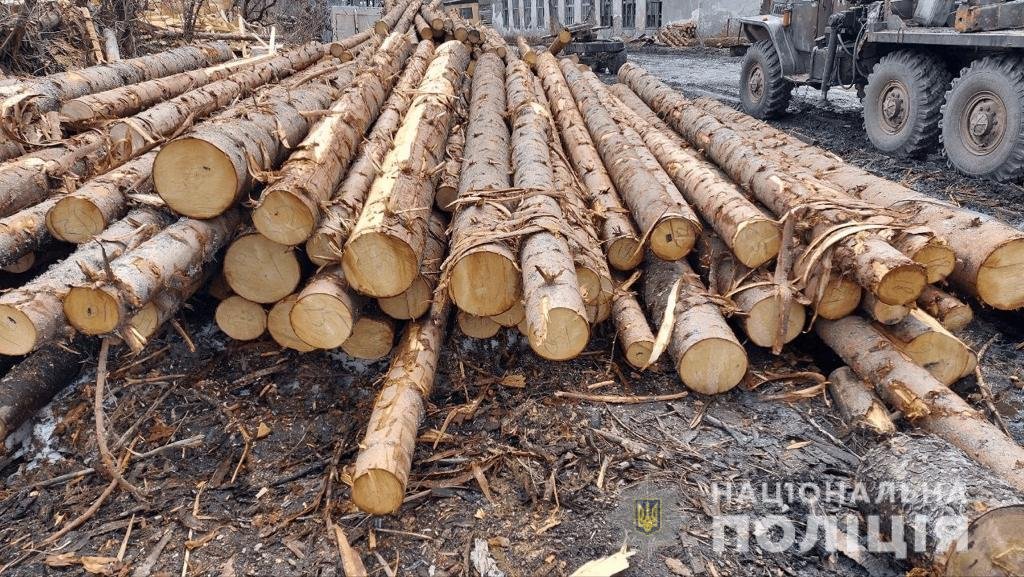 На Закарпатті викрили склади з незаконною лісопродукцією на понад 2 мільйони гривень