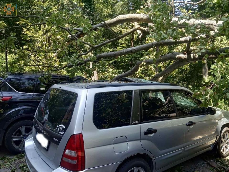 Біля закарпатського санаторію гілками дерева потрощило елітні автомобілі (фото)