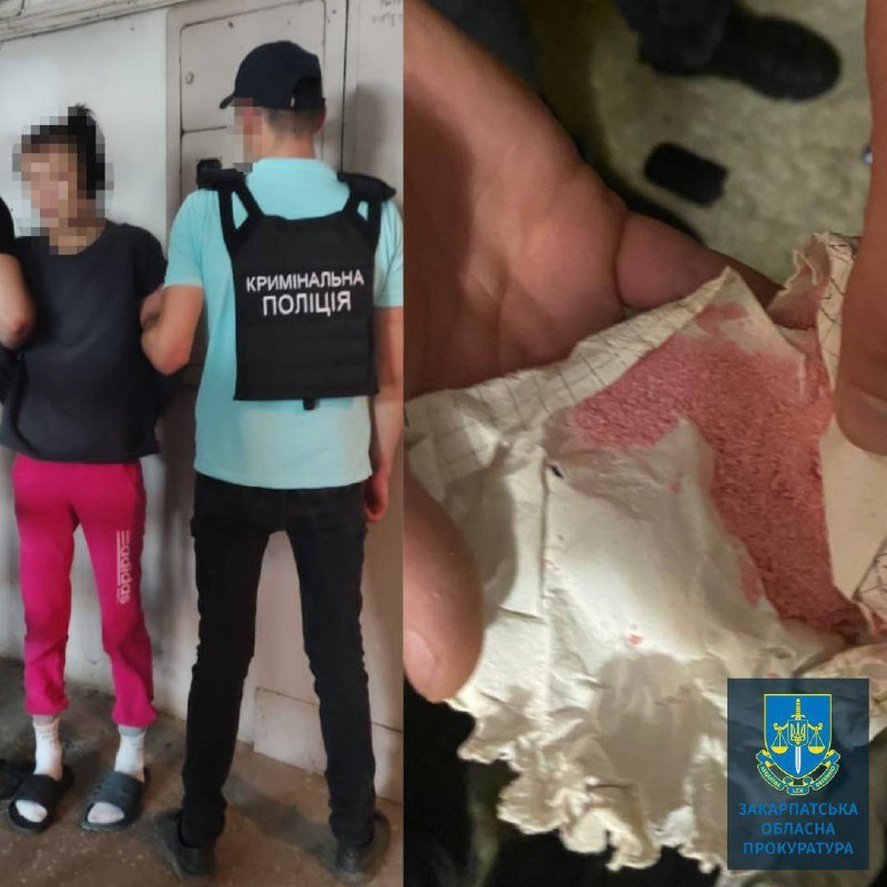 Підозрювану в торгівлі метамфетаміном ужгородку взяли під варту із заставою