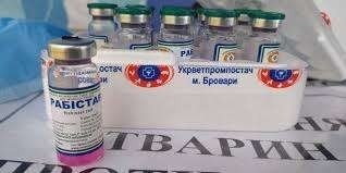 На Закарпатті налічується 7 неблагополучних пунктів по сказу тварин