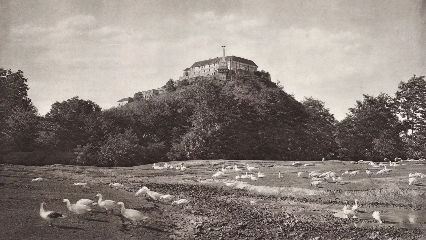 Вид на Мукачівський замок з пам'ятником турулу, 1921 рік