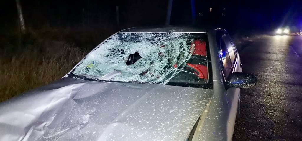 На Тячівщині п’яний водій «Skoda Fabia» смертельно травмував пішохода