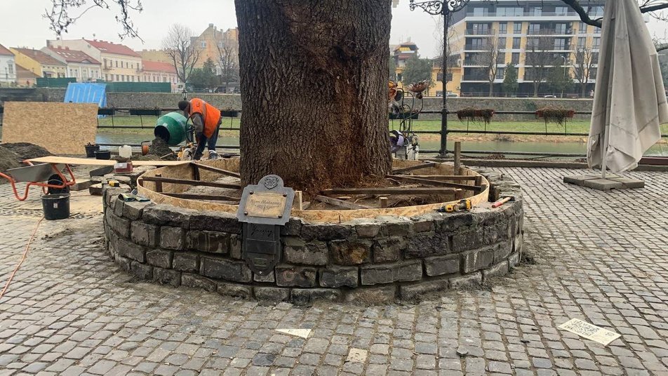 В Ужгороді ремонтують лавки на площі Фенцика і біля ясена Масарика