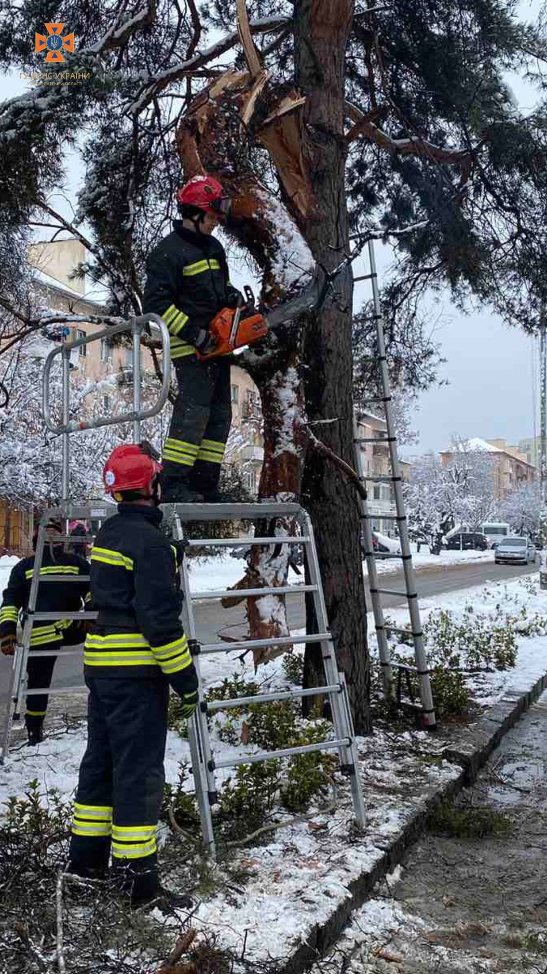В Ужгороді на проспекті Свободи  через нічний снігопад зламалась гілка дерева