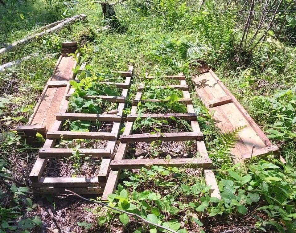 Поблизу кордону з Румунією затримали контрабандистів з драбинами та трапами