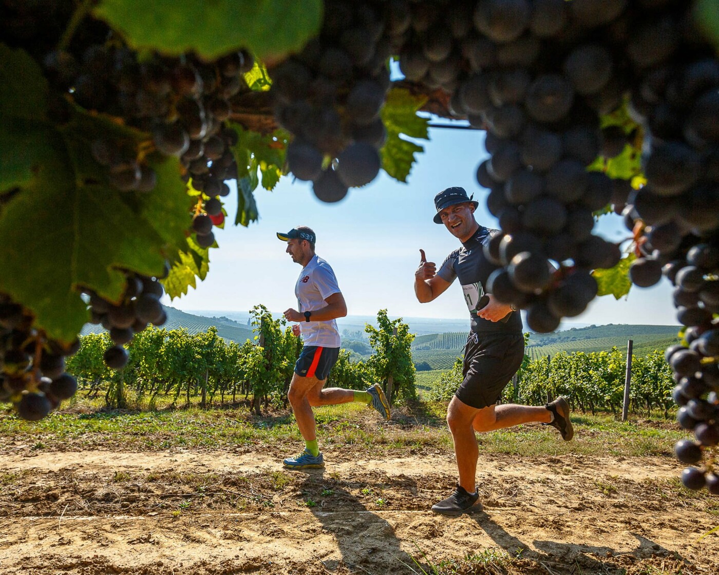 На Закарпатті 24 серпня бігтимуть виноградниками для ЗСУ: 7 причин взяти участь