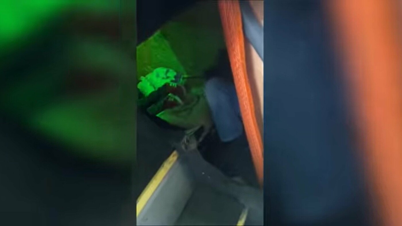 На кордоні на Закарпатті у багажнику автобуса серед речей виявили двох чоловіків (ВІДЕО)