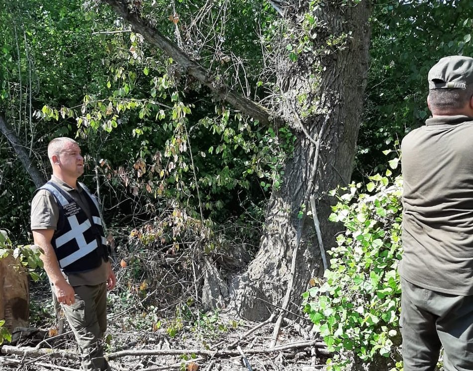 Держекоінспекція Закарпаття виявила мільйонні збитки у парку на Берегівщині