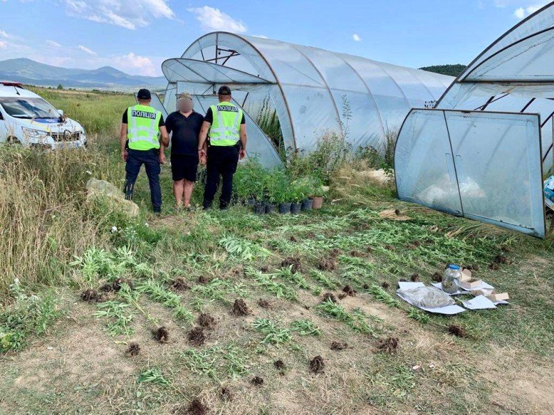 На Хустщині поліція затримала зловмисника, який налагодив агробізнес на вирощуванні коноплі