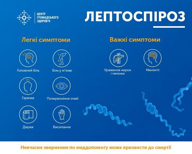 Упродовж серпня на Закарпатті зафіксовано 25 випадків лептоспірозу, 3 людини померли