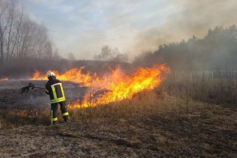 Поблизу Виноградова згоріло півтора гектари сухої рослинності