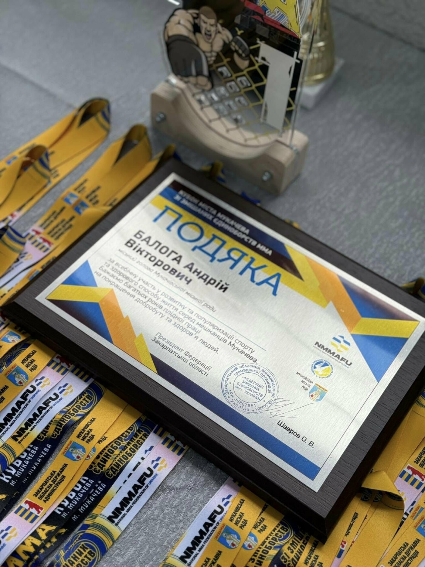 В Мукачеві стартував Чемпіонат області та Кубок Мукачева з ММА