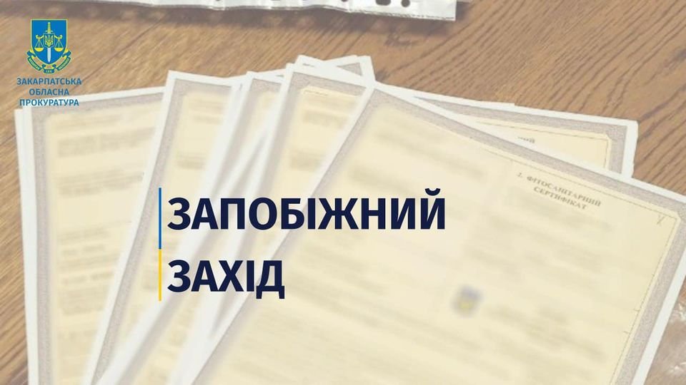 На Закарпатті двом працівникам держустанов і митному брокеру обрали запобіжні заходи