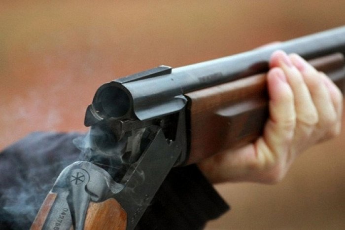Суд звільнив від покарання закарпатця, який застрелив з рушниці сусідського лабрадора