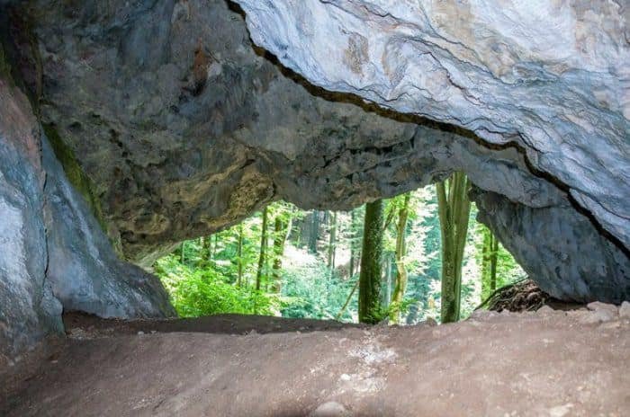 Для збереження історичної пам‘ятки: Карпатський біосферний заповідник через суд зобов‘язали укласти договір з ОВА