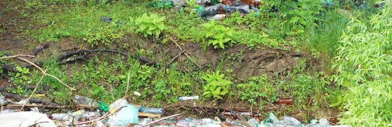 На Закарпатті береги водосховища потопають у смітті (ФОТО) На Закарпатті береги водосховища потопають у смітті (ФОТО), Андрійканич Єва
